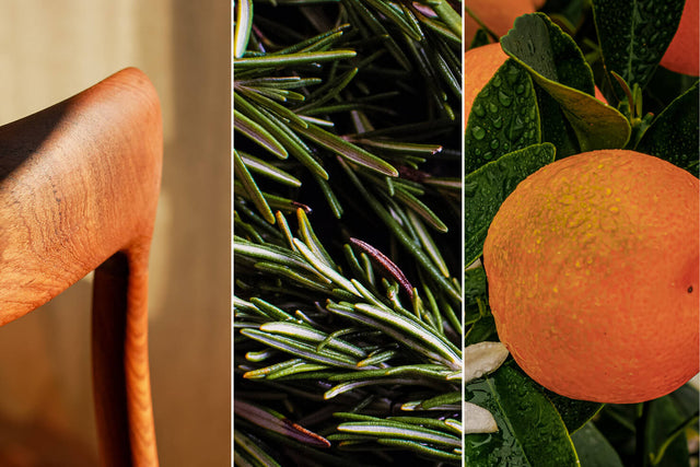 A triptych featuring a wooden chair bathed in warm sunlight, fresh rosemary sprigs, and dewy oranges with blossoms and leaves.